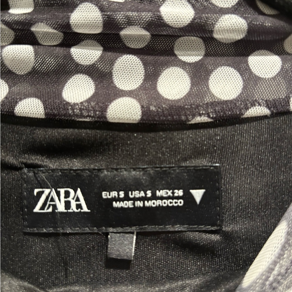 Zara Black and White Polka Dot Long Sleeve Mesh Dress - Picture 3 of 3